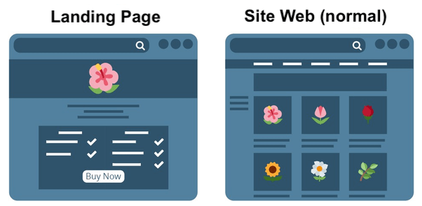 difference landing page site web